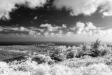 20151114-154201-IMGP0051.JPG