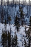 BurntOverHwy20Twisp012619.jpg
