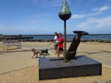 New dog to keep watch over the Brighton Dog Beach