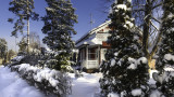 Winter at Home