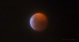 2019 Super Blood Wolf Moon P1380366