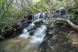 Cannon Creek Falls 1