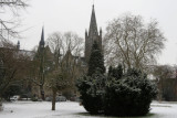 IMG_7833.JPG