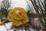 IMG_7852.JPG