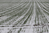 IMG_7856.JPG