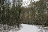 IMG_7865.JPG