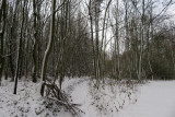 IMG_7869.JPG