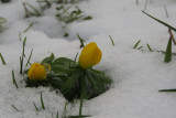 IMG_7870.JPG