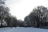 IMG_7880.JPG