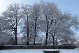 IMG_7884.JPG