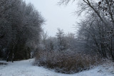 IMG_7900.JPG