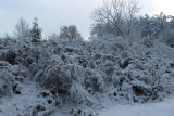 IMG_7905.JPG