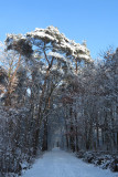 IMG_7925.JPG