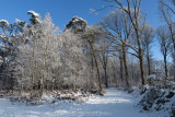 IMG_7927.JPG