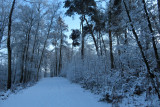 IMG_7930.JPG