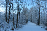 IMG_7933.JPG