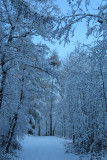 IMG_7936.JPG