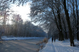 IMG_7940.JPG