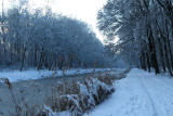 IMG_7943.JPG