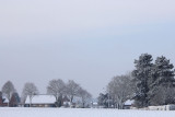 IMG_8270.JPG