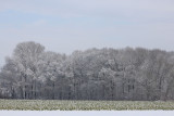 IMG_8275.JPG