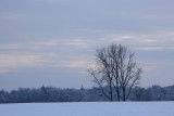 IMG_8292.JPG