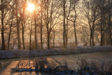IMG_8313.JPG