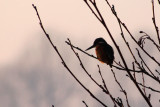 IMG_8317.JPG