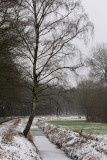 IMG_8368.JPG