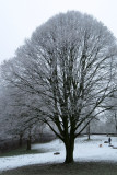 IMG_8050.JPG