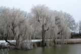 IMG_8054.JPG