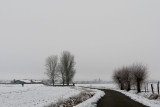 IMG_8055.JPG