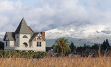 Snow and Palm