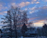 Winter morning...