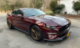 IMG_0554s1080.jpg
