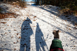 2nd February 2019 wintry woods