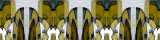 abstract_panos_190120