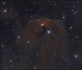 NGC_1555 region
