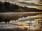 Höstljus, autumn light