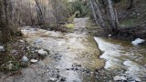 20190118_153351.jpg