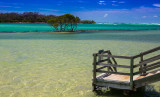 Boardwalk steps at Urunga