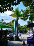 Kayak Rental at Robbie's, Lower Matecumbe Key, Florida Keys, Florida 111
