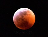 Super Blood Wolf Moon Eclipse of 2019, Seattle, Washington State 276 