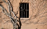 Window on building in Old Town Albuquerque, New Mexico 111 