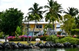 Houses along Tavernier Creek, Tavernier Florida 314