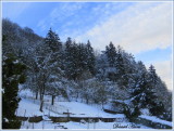 janvier 2019 au village