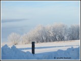 le yoyo de notre hiver québécois