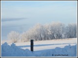 Quand le frimas est invit, la beaut des paysages nous fait apprcier lhiver.