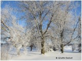 magie de la neige