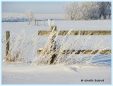 pourtant, c'était l'hiver...